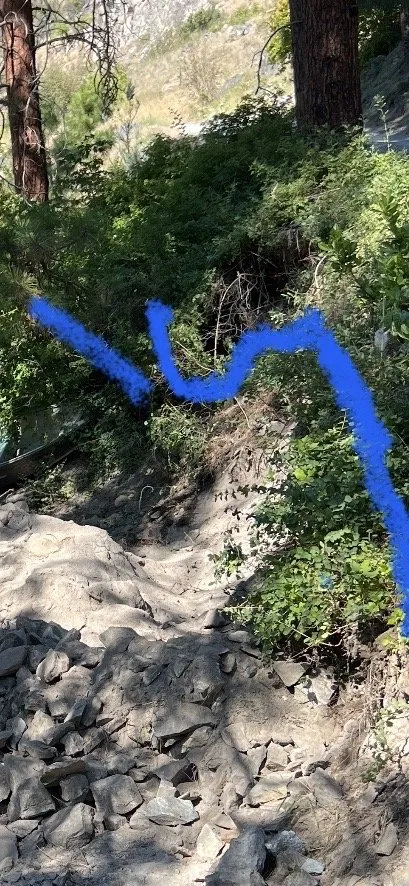 Professional residential landscaping in Manson, WA by Saavedra Construction