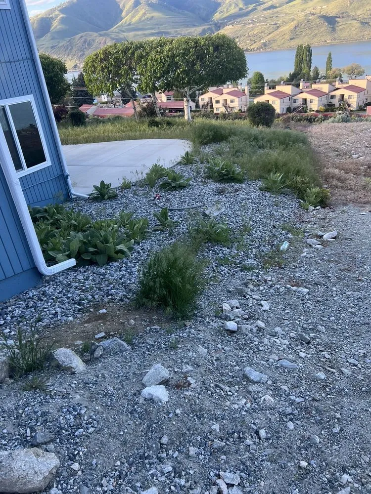 Custom yard cleanup service in Manson, WA by Saavedra Construction