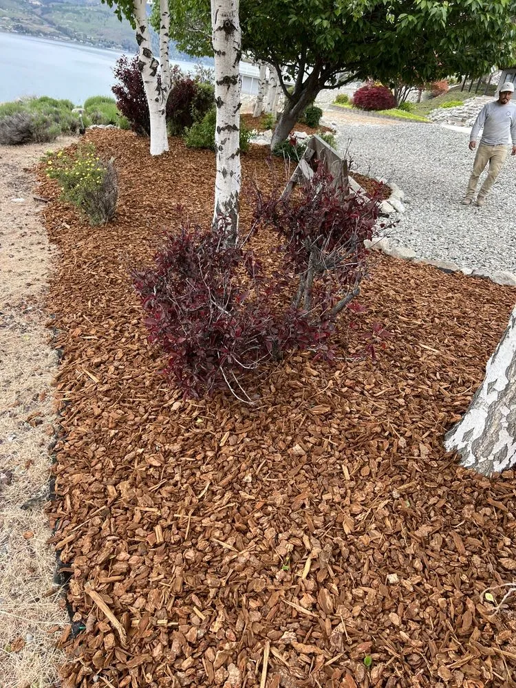 Professional garden landscaping for outdoor upgrades across Manson, WA - Saavedra Construction