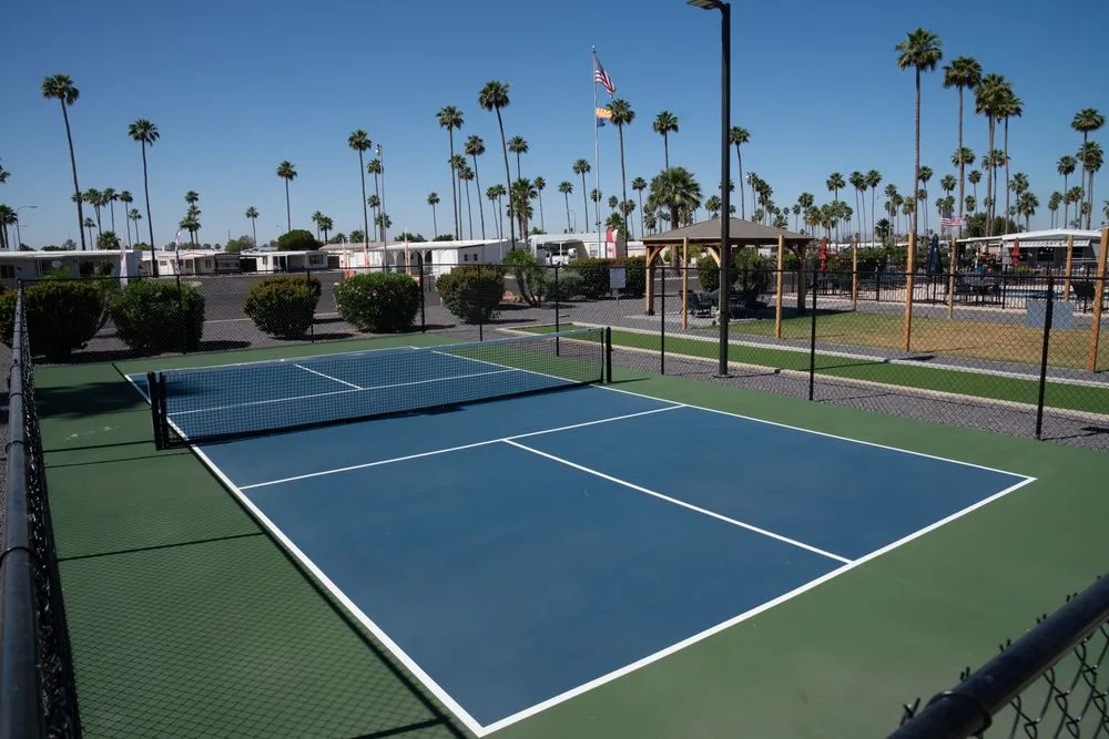 Professional landscaping services in San Tan Valley, AZ by Saavedra Contracting