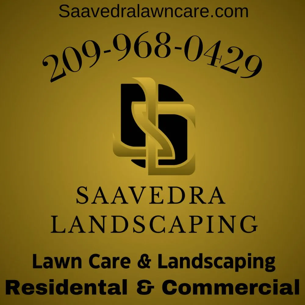 Trusted yard cleanup service in Modesto, CA by Saavedra Landscaping