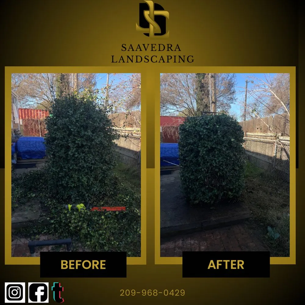 Custom residential landscaping experts serving Modesto, CA - Saavedra Landscaping