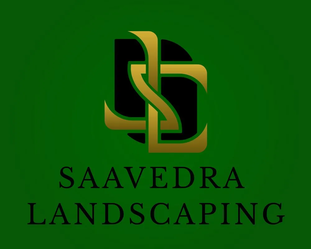 Reliable landscaping services in Modesto, CA - Saavedra Landscaping