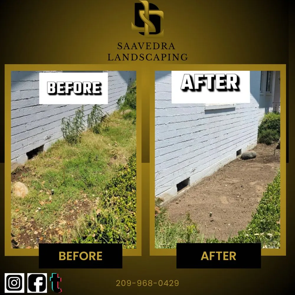 Local yard cleanup service experts serving Modesto, CA - Saavedra Landscaping