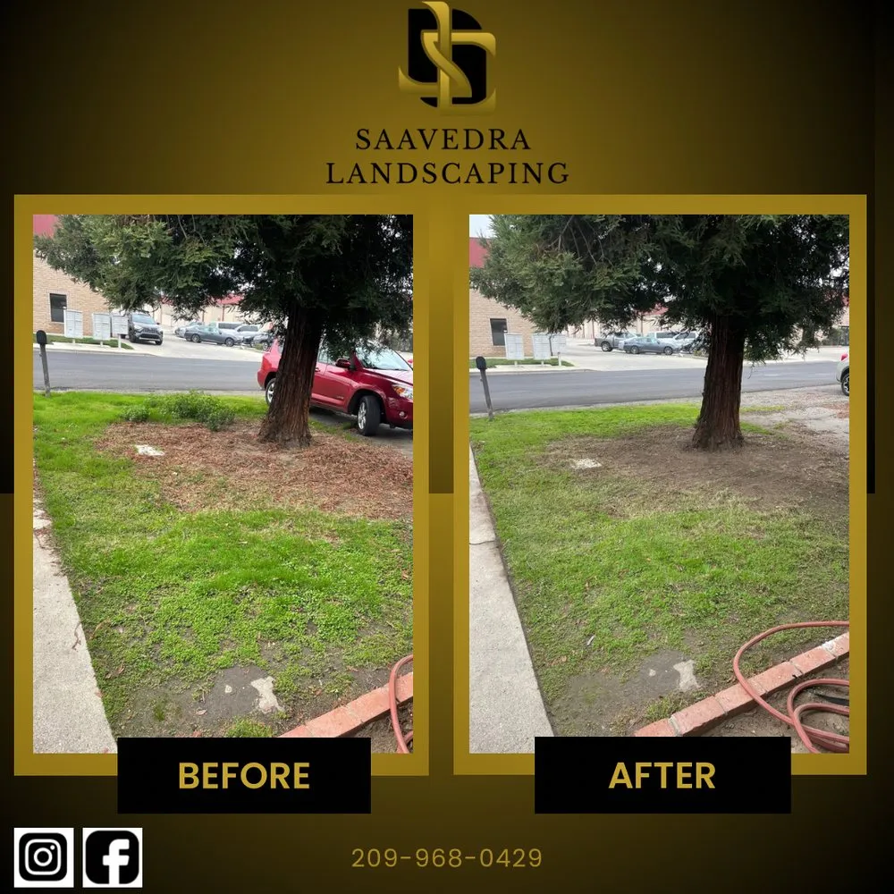Reliable garden landscaping near you in Modesto, CA by Saavedra Landscaping