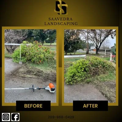 Saavedra Landscaping Logo