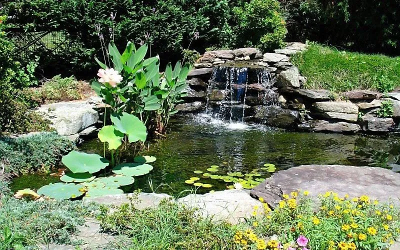 Professional yard maintenance in Sterling, VA by SAB Lawn Landscaping & Tree Service