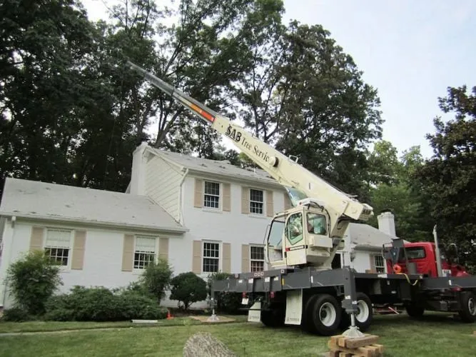 Affordable landscape installation experts serving Sterling, VA - SAB Lawn Landscaping & Tree Service
