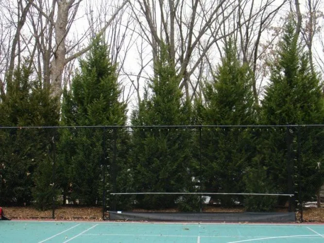 Local lawn care service experts serving Sterling, VA - SAB Lawn Landscaping & Tree Service