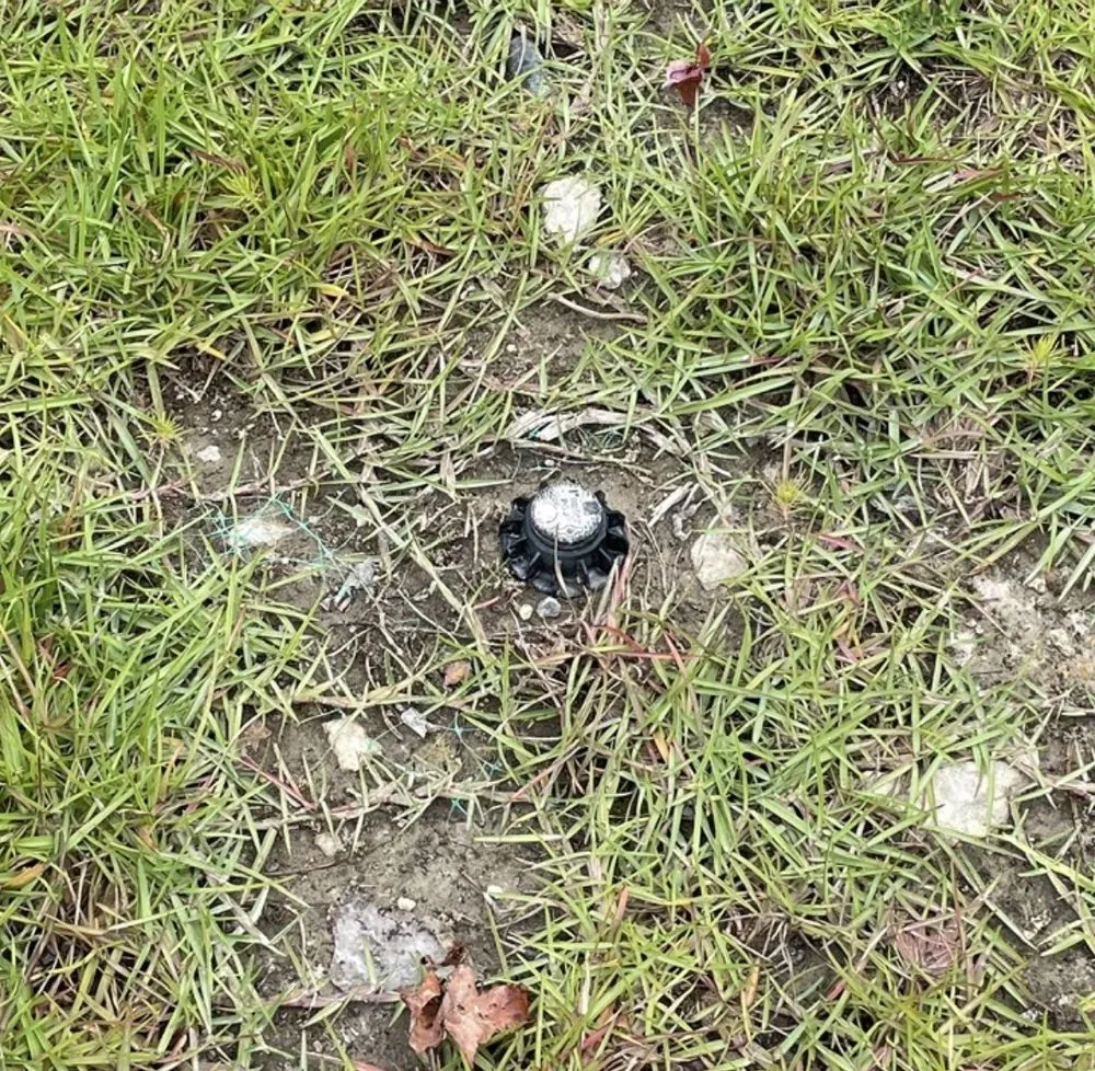 Trusted landscaping services experts serving Summerville, SC - Sabal Landscape Contractors