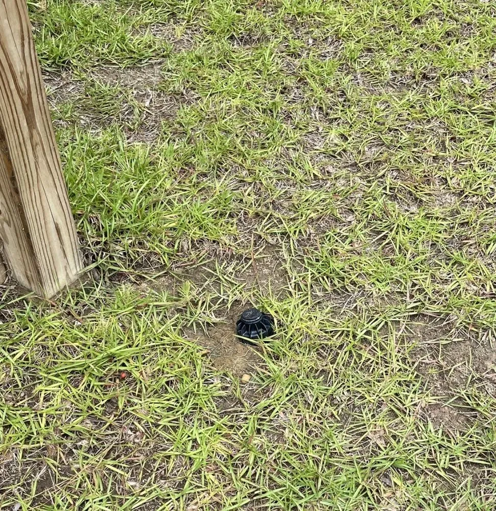 Reliable landscape design experts serving Summerville, SC - Sabal Landscape Contractors