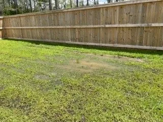 Top-rated yard maintenance in Summerville, SC by Sabal Landscape Contractors