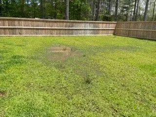 Reliable yard maintenance experts serving Summerville, SC - Sabal Landscape Contractors