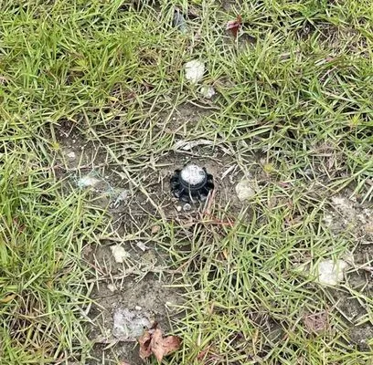 Sabal Landscape Contractors Logo