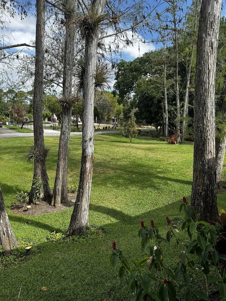 Top-rated landscape design in Tamarac, FL - Sabal Palm Lawn Services
