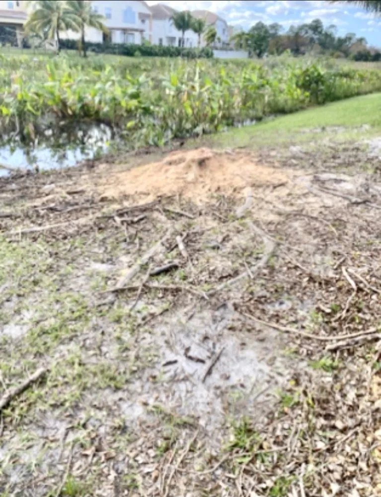 Affordable lawn mowing service with custom design across Miami Gardens, FL - Sabash