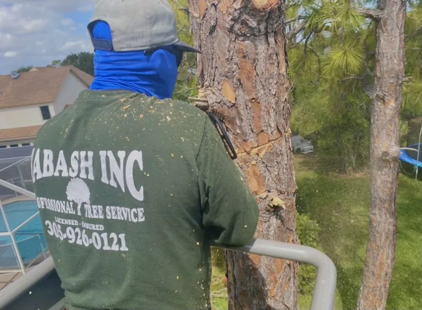 Reliable landscaping services near you in Miami Gardens, FL by Sabash