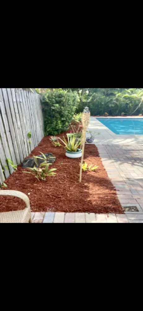 Expert yard cleanup service for homes in Miami Gardens, FL by Sabash