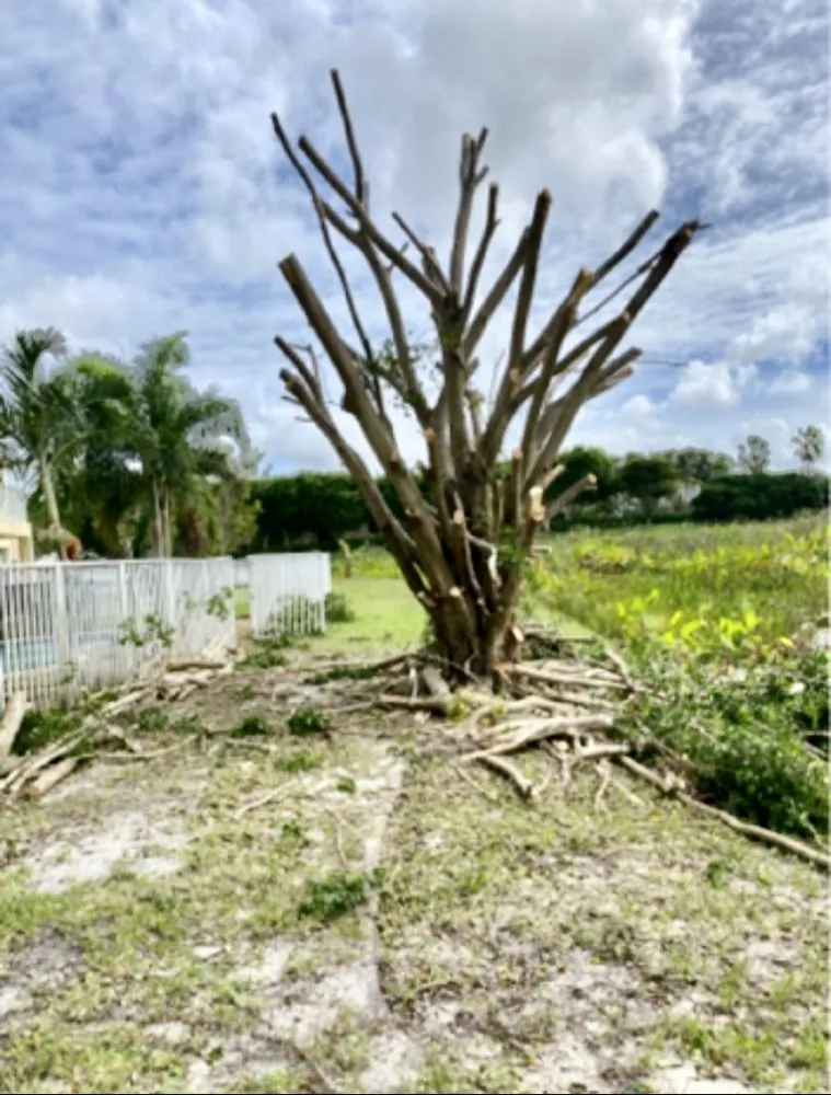 Expert lawn care service for beautiful yards across Miami Gardens, FL - Sabash