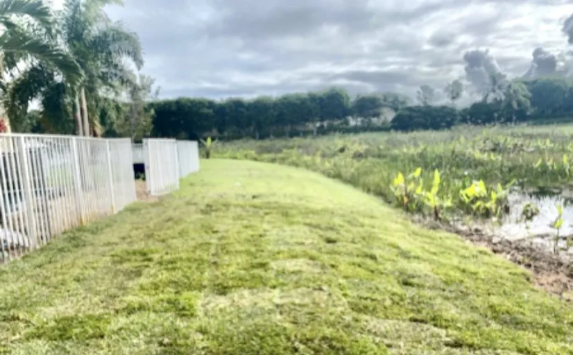 Top-rated landscape design in Miami Gardens, FL - Sabash