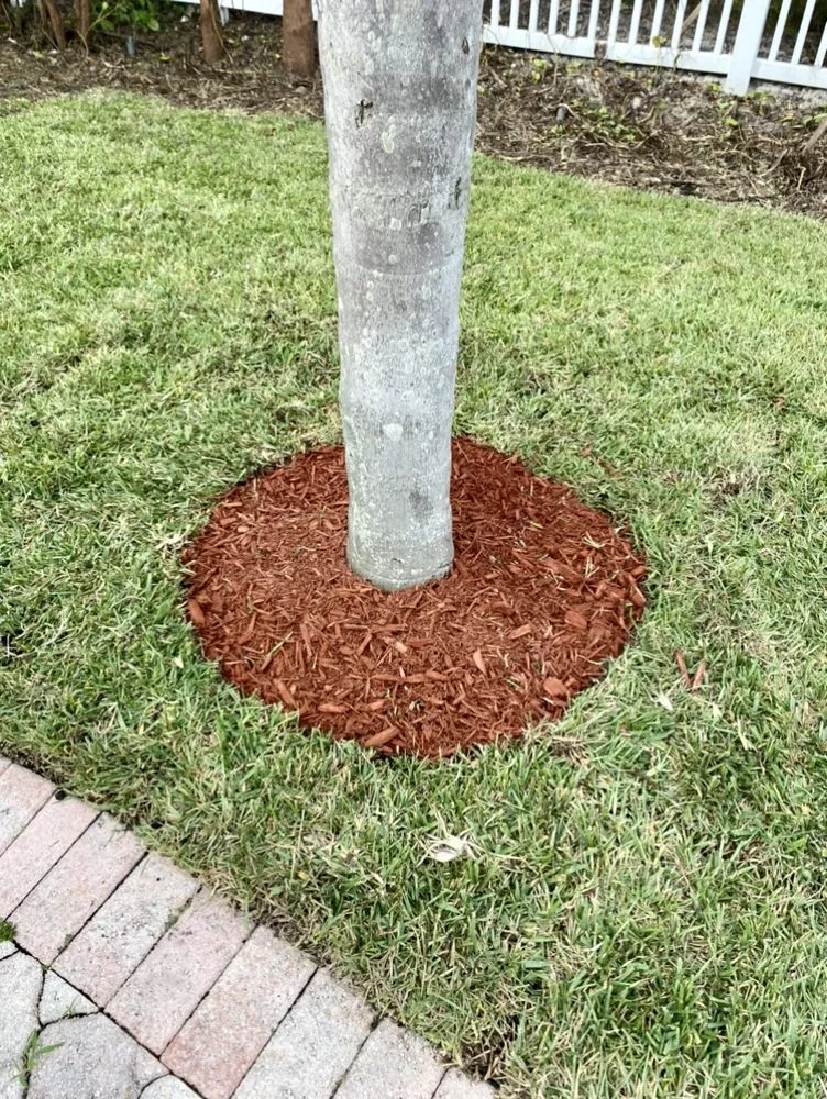 Local residential landscaping for homes in Miami Gardens, FL by Sabash