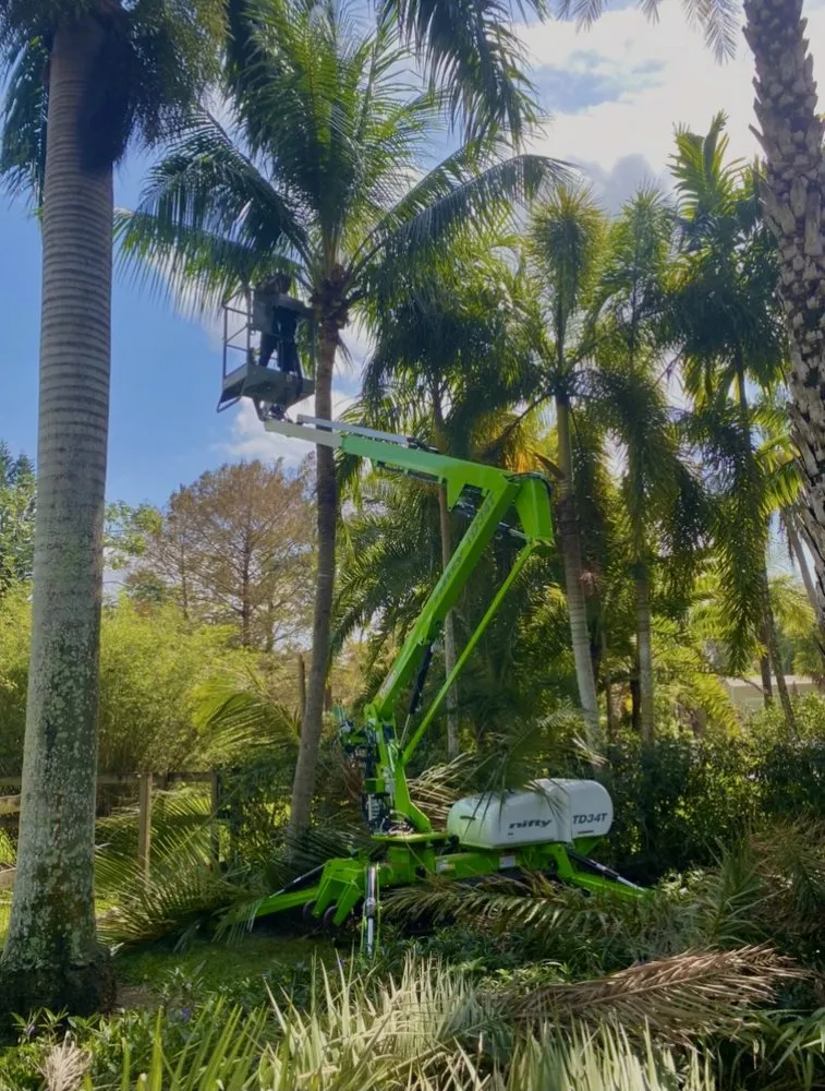 Expert lawn care service in Miami Gardens, FL by Sabash
