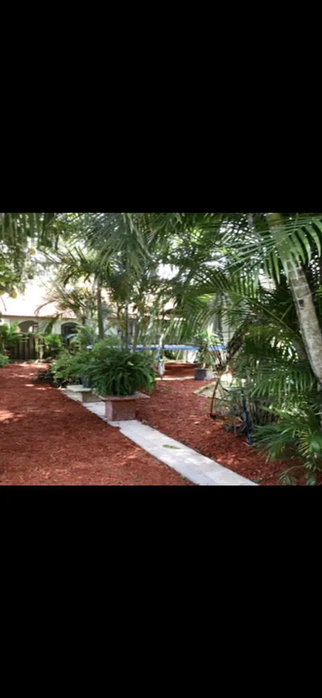 Expert lawn care service in Miami Gardens, FL by Sabash