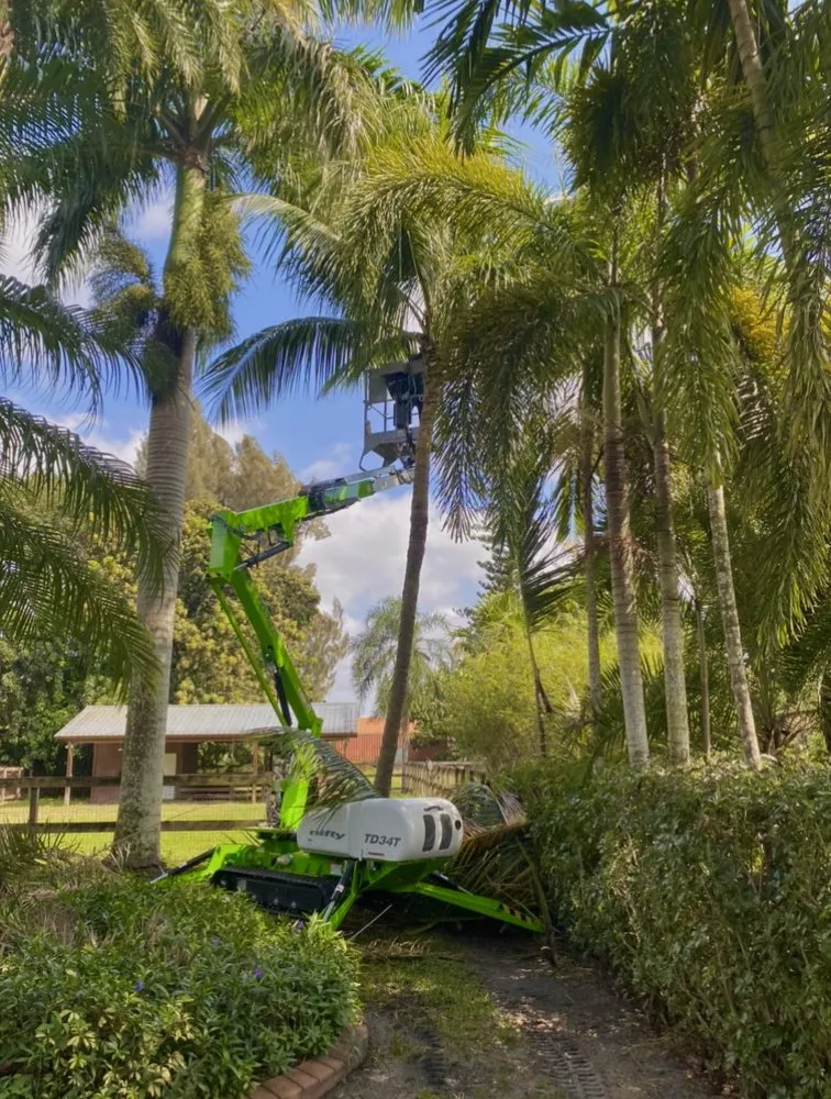 Professional outdoor landscaping experts serving Miami Gardens, FL - Sabash