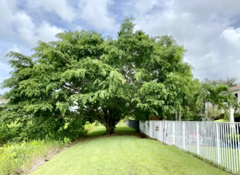 Reliable residential landscaping in Miami Gardens, FL - Sabash