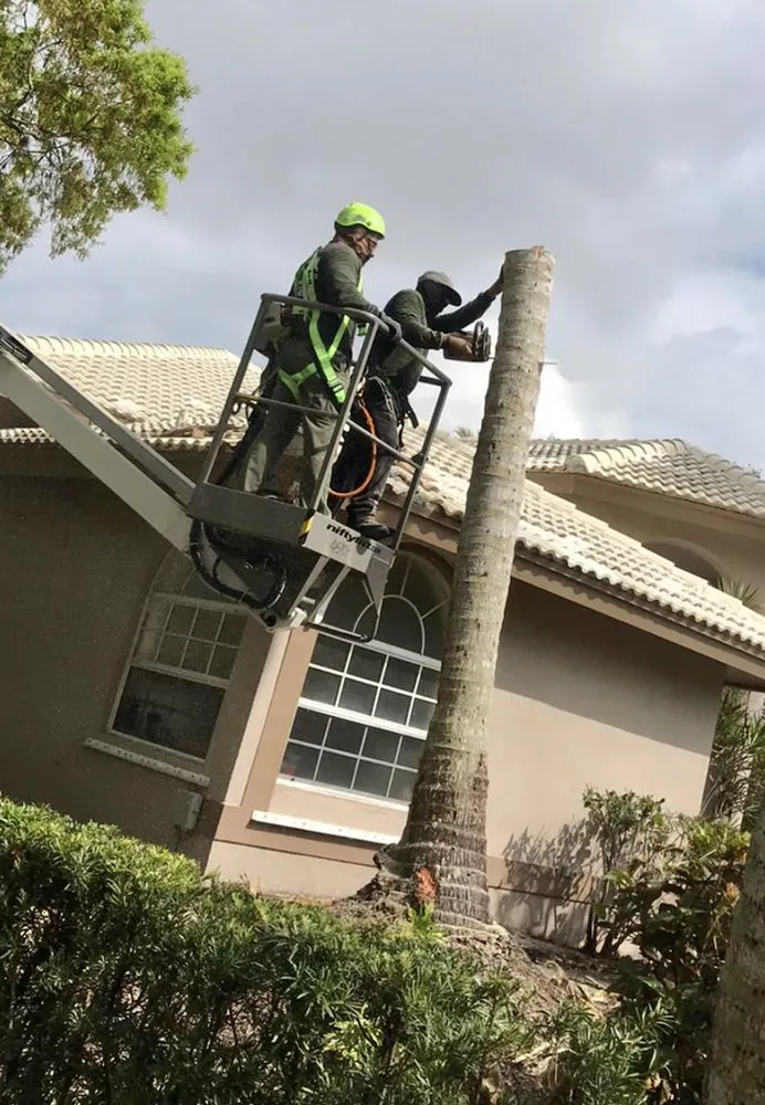 Top-rated garden landscaping in Miami Gardens, FL by Sabash