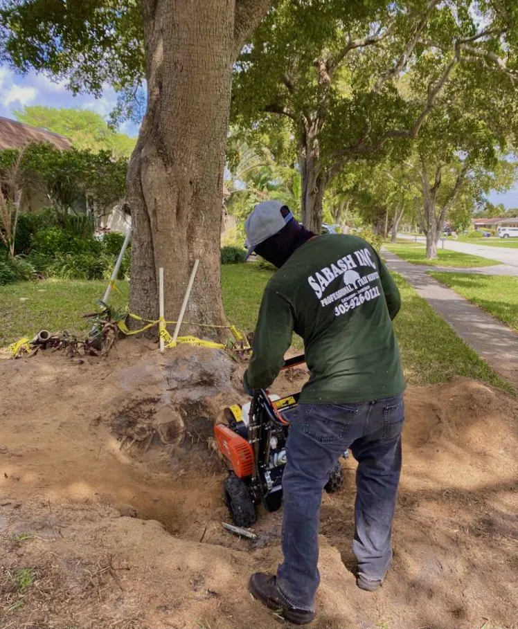 Professional outdoor landscaping for homes across Miami Gardens, FL - Sabash