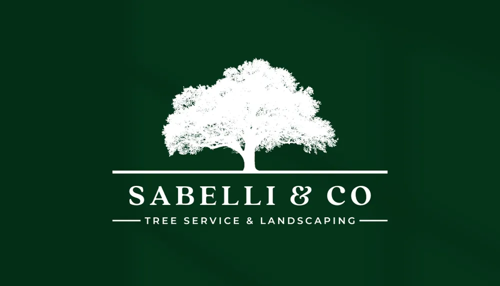 Expert landscaping services with custom design in Greenville, PA by Sabelli and Co