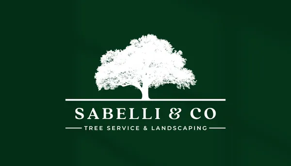 Sabelli and Co