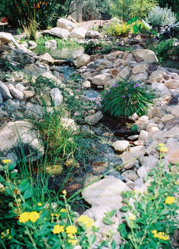 Professional landscaping services experts serving Tucson, AZ - Saber Landscapes