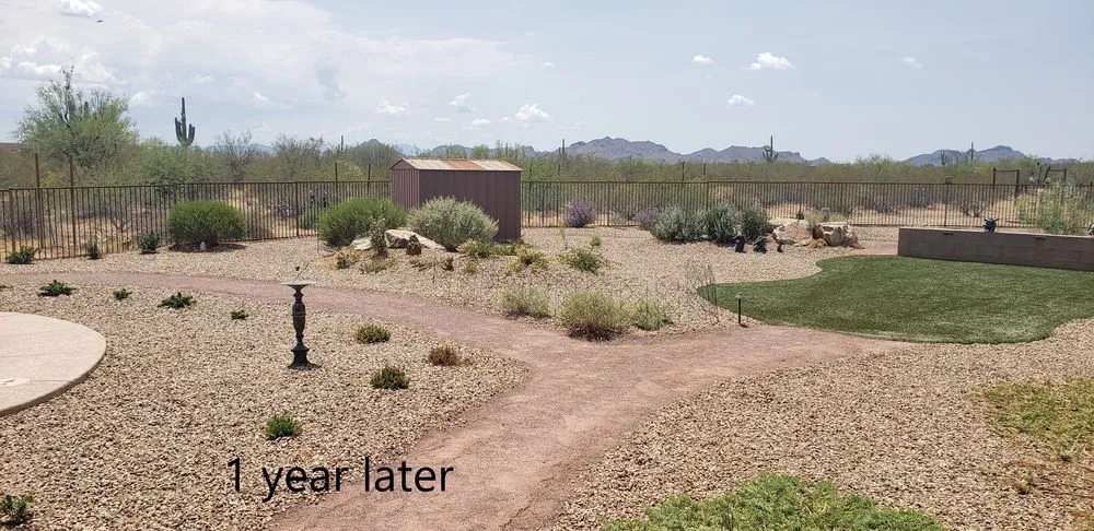 Expert outdoor landscaping in Tucson, AZ by Saber Landscapes