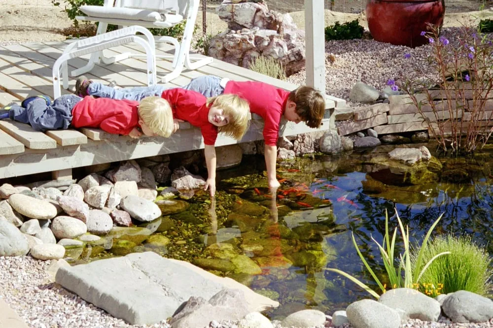 Local landscape installation in Tucson, AZ by Saber Landscapes