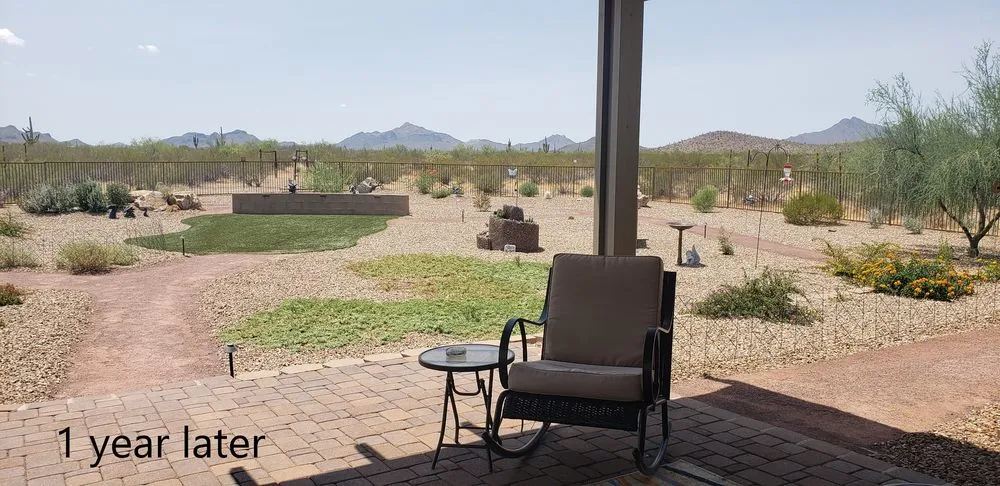 Affordable landscaping services for homes in Tucson, AZ by Saber Landscapes