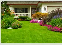 Expert yard cleanup service experts serving Glenside, PA - Sabia Landscaping & Tree Service