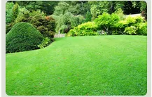 Professional garden landscaping experts serving Glenside, PA - Sabia Landscaping & Tree Service