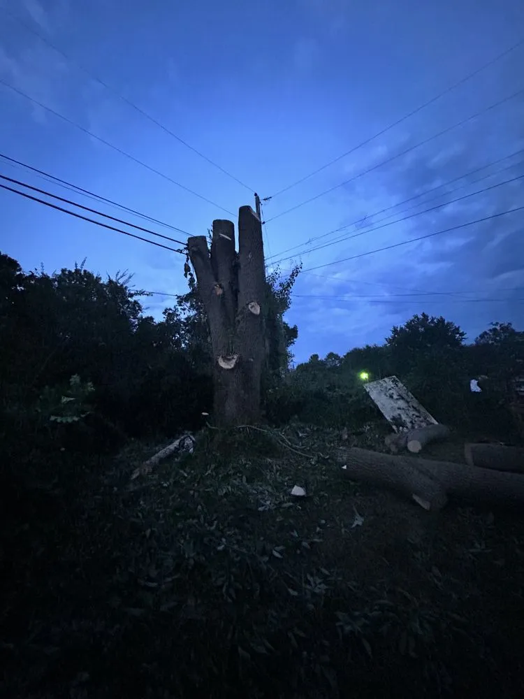 Trusted landscape design experts serving Huntsville, AL - Sabree Tree And Lawn Service