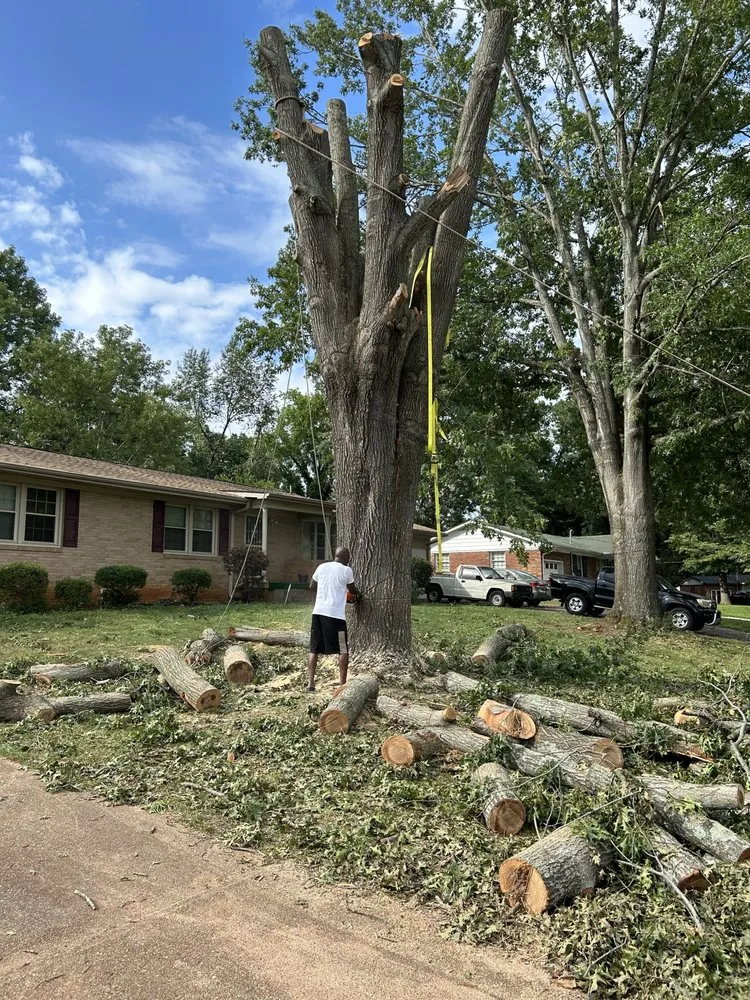 Custom landscape design experts serving Huntsville, AL - Sabree Tree And Lawn Service