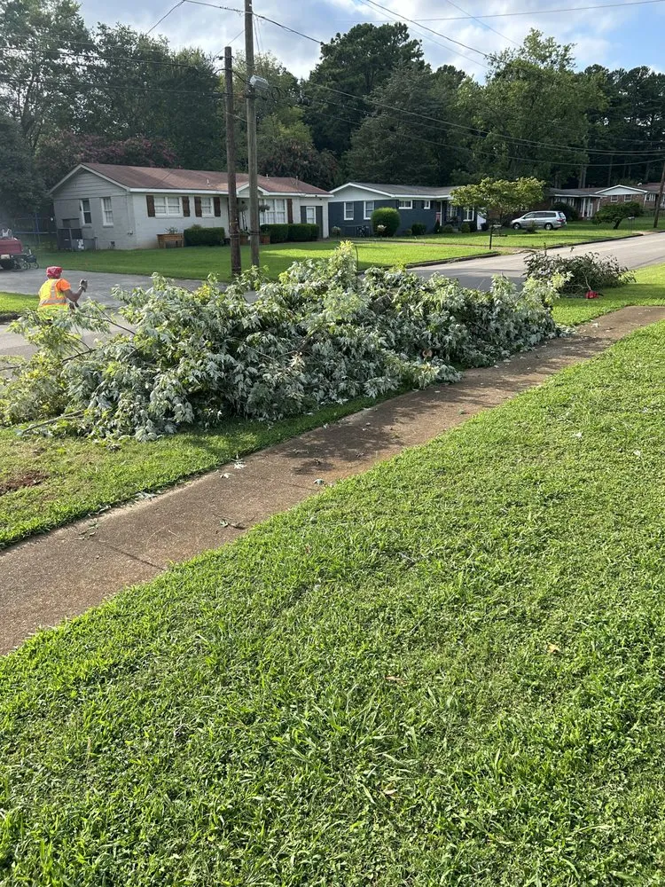 Expert lawn care service for homes in Huntsville, AL by Sabree Tree And Lawn Service