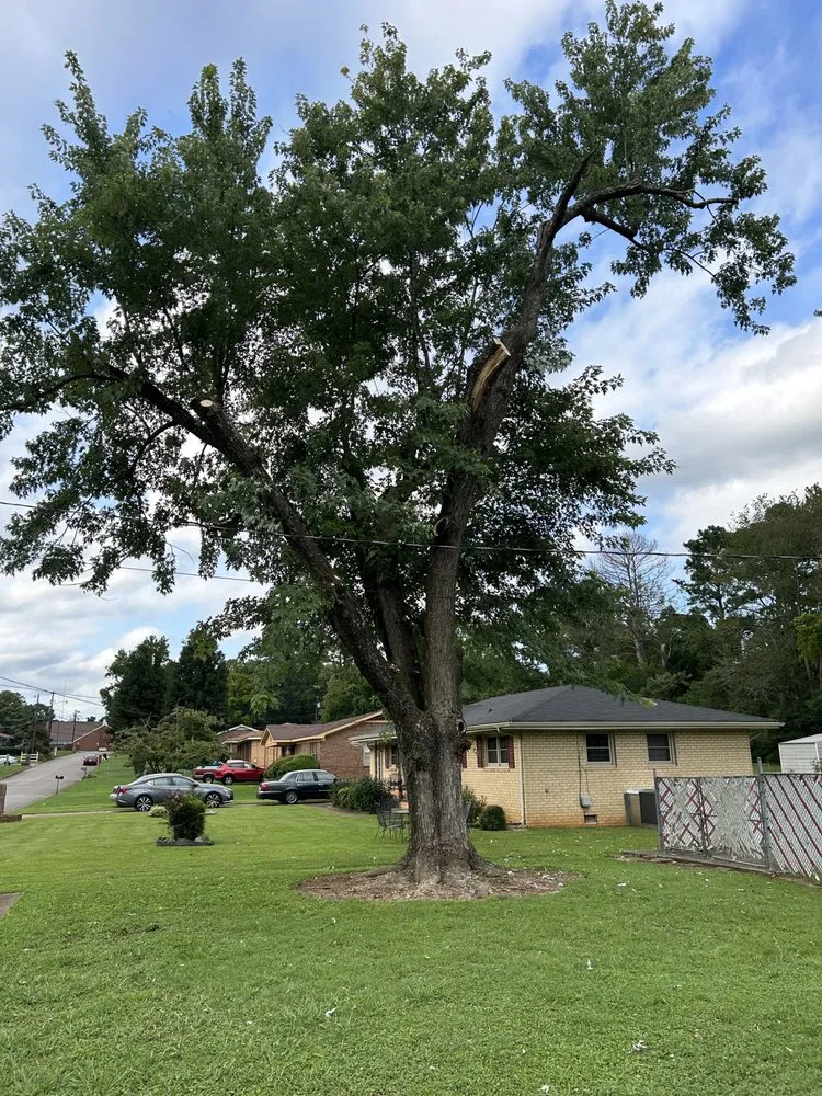 Trusted landscape design with custom design in Huntsville, AL by Sabree Tree And Lawn Service