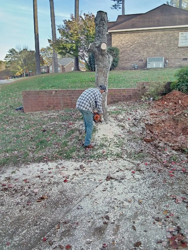 Affordable landscaping services in Huntsville, AL - Sabree Tree And Lawn Service