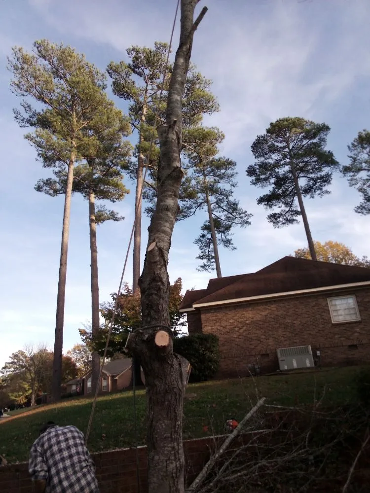 Reliable landscape installation for outdoor upgrades in Huntsville, AL by Sabree Tree And Lawn Service