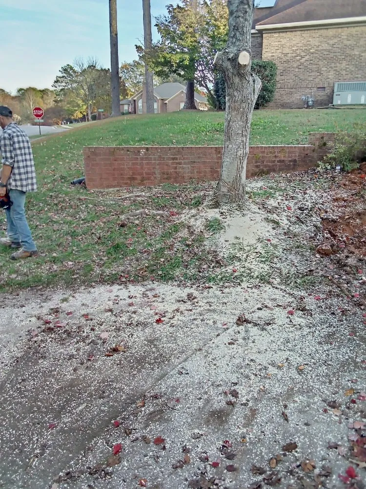 Reliable lawn mowing service in Huntsville, AL by Sabree Tree And Lawn Service