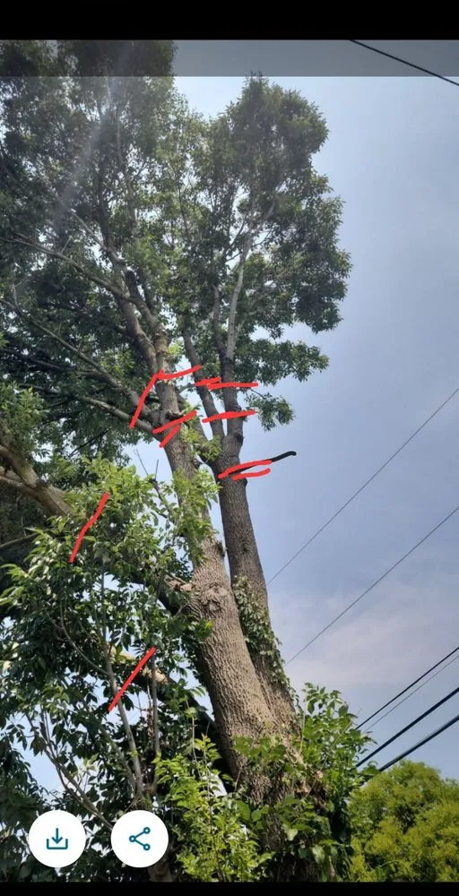 Local residential landscaping for homes across Huntsville, AL - Sabree Tree And Lawn Service