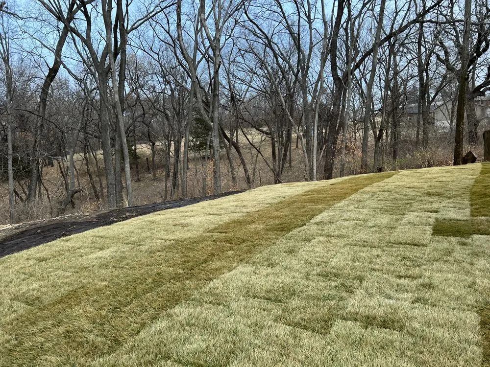 Affordable landscaping services in Tonganoxie, KS by Sabutis Outdoor services