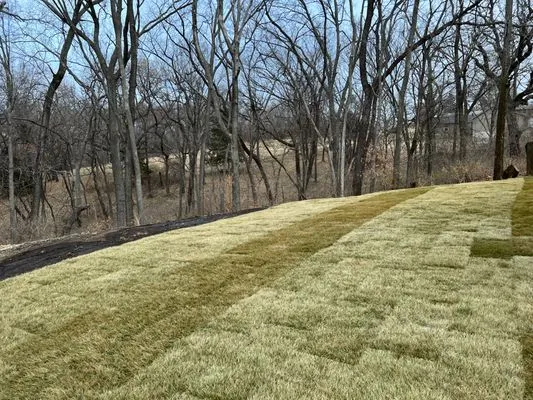 Sabutis Outdoor services