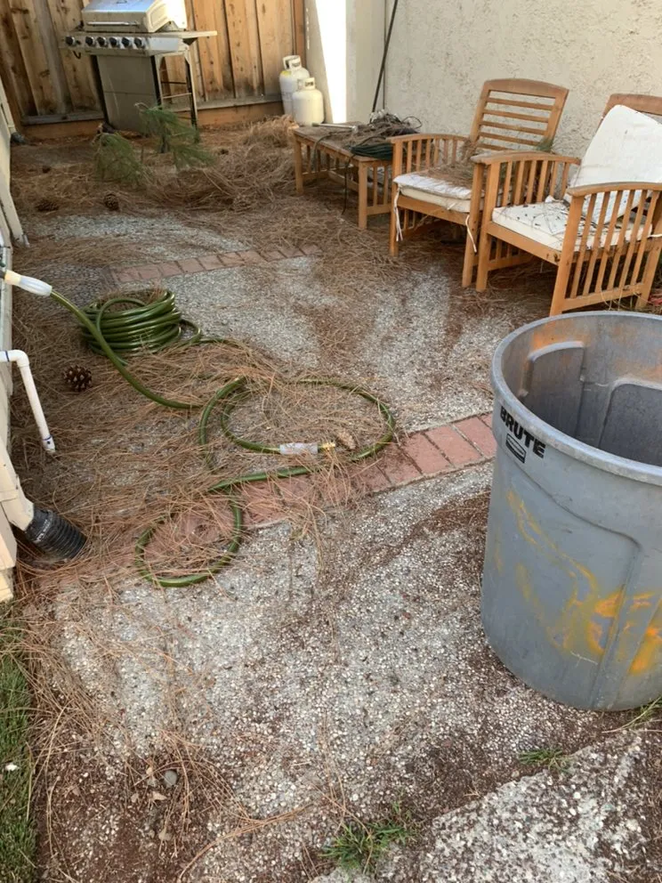 Top-rated landscape design experts serving San Jose, CA - SAC Landscaping & Gardening